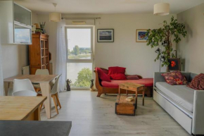 Spacious modern apartment with view of the Loire
